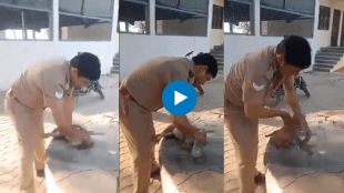 Indian cop administers CPR, revives fainting monkey video goes viral