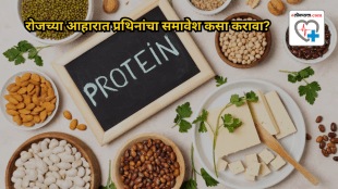 How to meet protein quota in daily meals