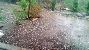 Hail warning in Vidarbha Where will hail occur