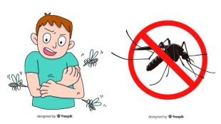 How to get rid of mosquitoes tips