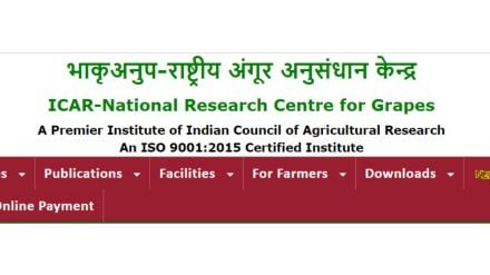 NRCG Pune recruitment 2024