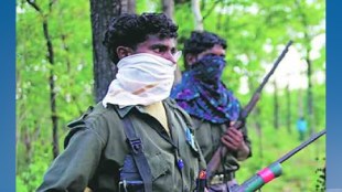 12 Naxalites killed in Chhattisgarha