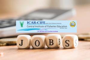 Central Institute of Fisheries Education Mumbai Bharti 2024 Young Professional II Vacant Post Available