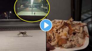 the most heartwarming behind this stray dogs friendship with a train driver watch emotional video