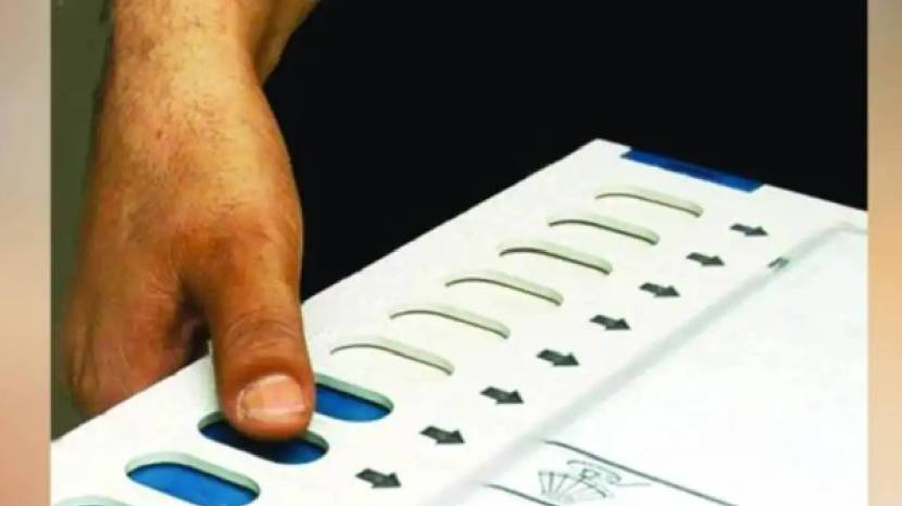 Lok Sabha Election Voting