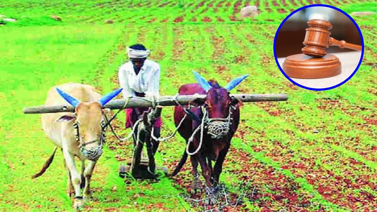 farmers, loan waiver, Nagpur High Court,