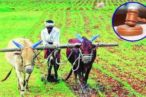 farmers, loan waiver, Nagpur High Court,