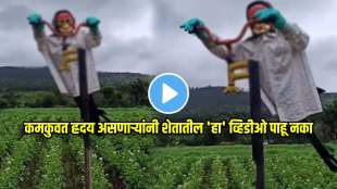 bujgavne viral video trending video farmer installed scary scarecrow in his field video goes viral on social media