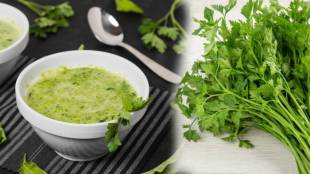 How To Make Home Made Coriander Chutney or Easy and Quick Green Chutney Note down the Recipe and must try at home