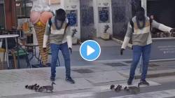 VIDEO: एकमेकांची काळजी घेऊया…! बदकाच्या पिल्लांना तरुणाचे मार्गदर्शन, रस्ता ओलांडण्यासाठी पाहा कशी केली मदत