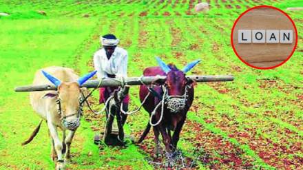 Yavatmal, farmers, officials