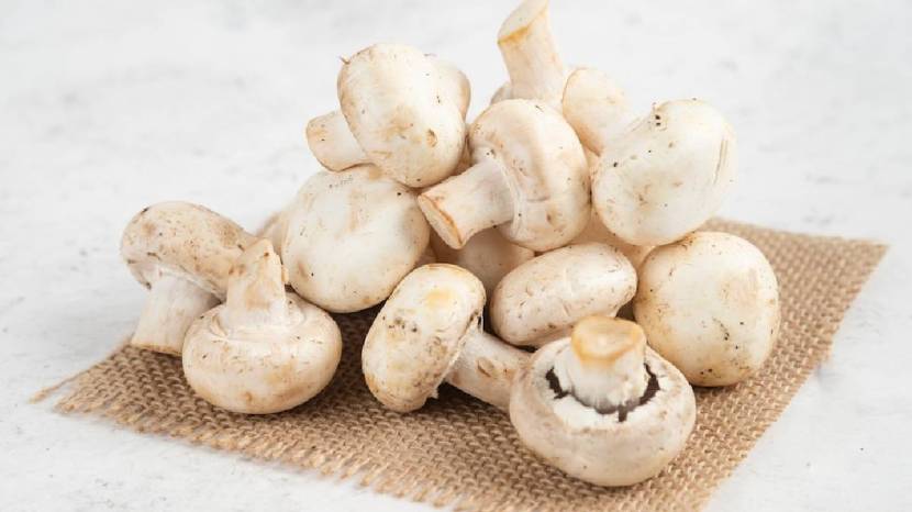 Fulfill vitamin D requirements just by eating mushrooms is converted to vitamin D2 upon exposure UV light from the sun