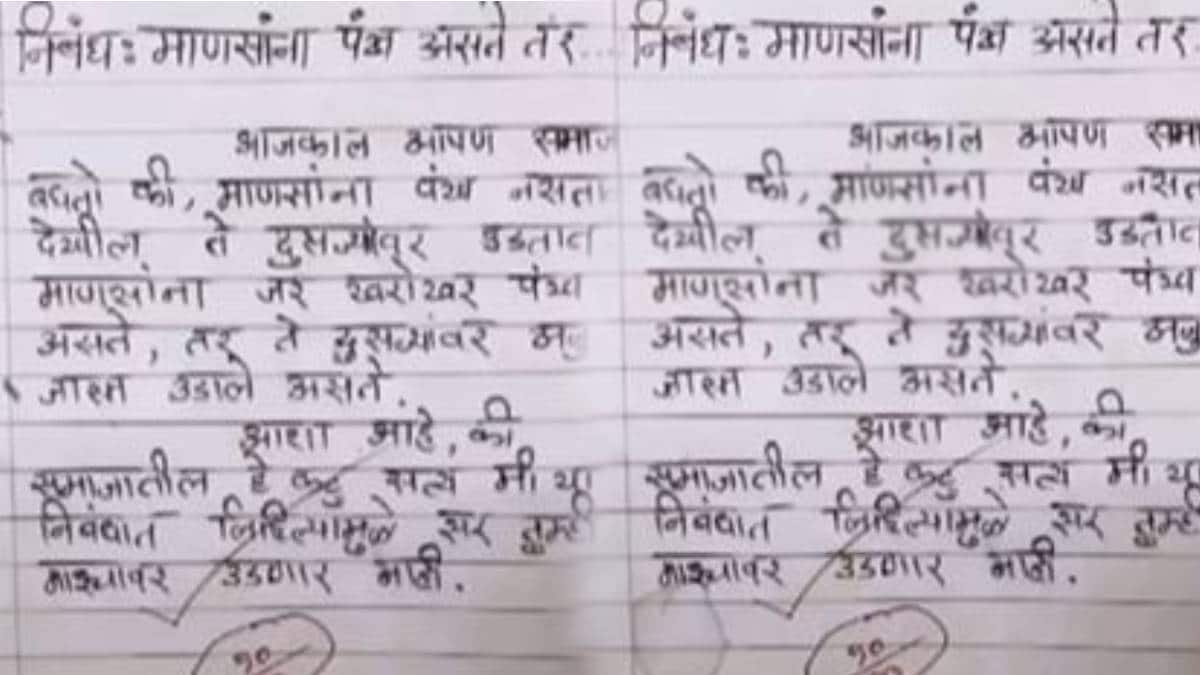 Student's Essay on If Humans Had Wings 10 out of 10 marks from sir