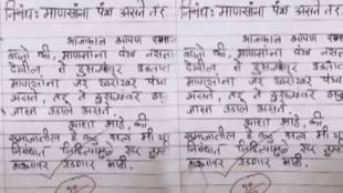 Student's Essay on If Humans Had Wings 10 out of 10 marks from sir