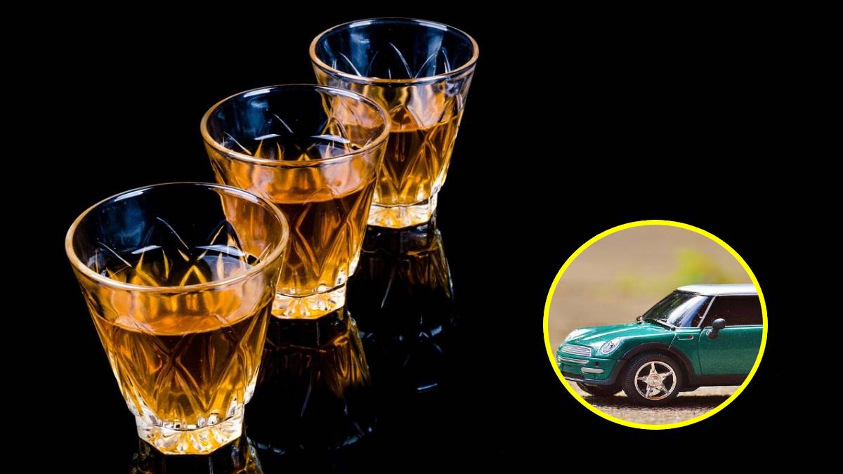 Nagpur, drunk drivers, drunk,