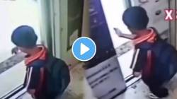 बापरे! लिफ्ट थांबवण्यासाठी हात पुढे केला अन्… चिमुकल्याचा हा VIDEO पाहून तुम्हालाही फुटेल घाम