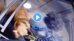 VIDEO: त्या जीवाची चूक काय? लिफ्टमध्ये पाळीव कुत्र्याला क्रूर वागणूक; हे CCTV मध्ये कैद झालं नसतं तर विश्वास बसला नसता
