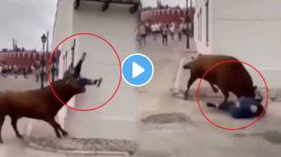 Bull Attack On Women Shocking Video