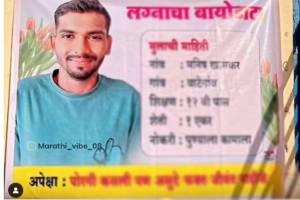 Punerkar boy marriage biodata viral