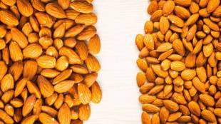 How to check the purity and quality of almonds at home