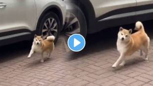 A dog did a wild dance after seeing a piece of chicken