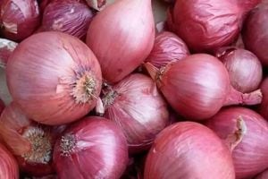Onion export dilemma continues Traders and customs department confused about export duty