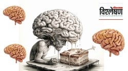 १२ हजार वर्षे जुने तसेच ४४०० मानवी मेंदू शोधणारी संशोधिका; काय सांगते तिचे संशोधन?