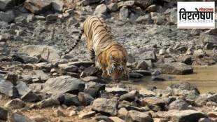 Sahyadri Tiger Reserve