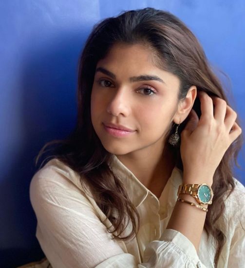 Sharmin Segal husband aman mehta net worth