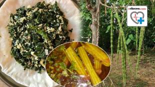 Benefits Of Shevgyachi Bhaji Moringa Leaves powder