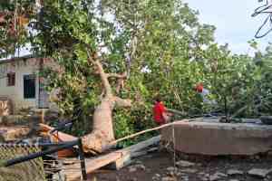washim, Stormy Rain, High Winds, Stormy Rain in washim, High Winds in washim, Widespread Damage, Power Supply Disrupted,