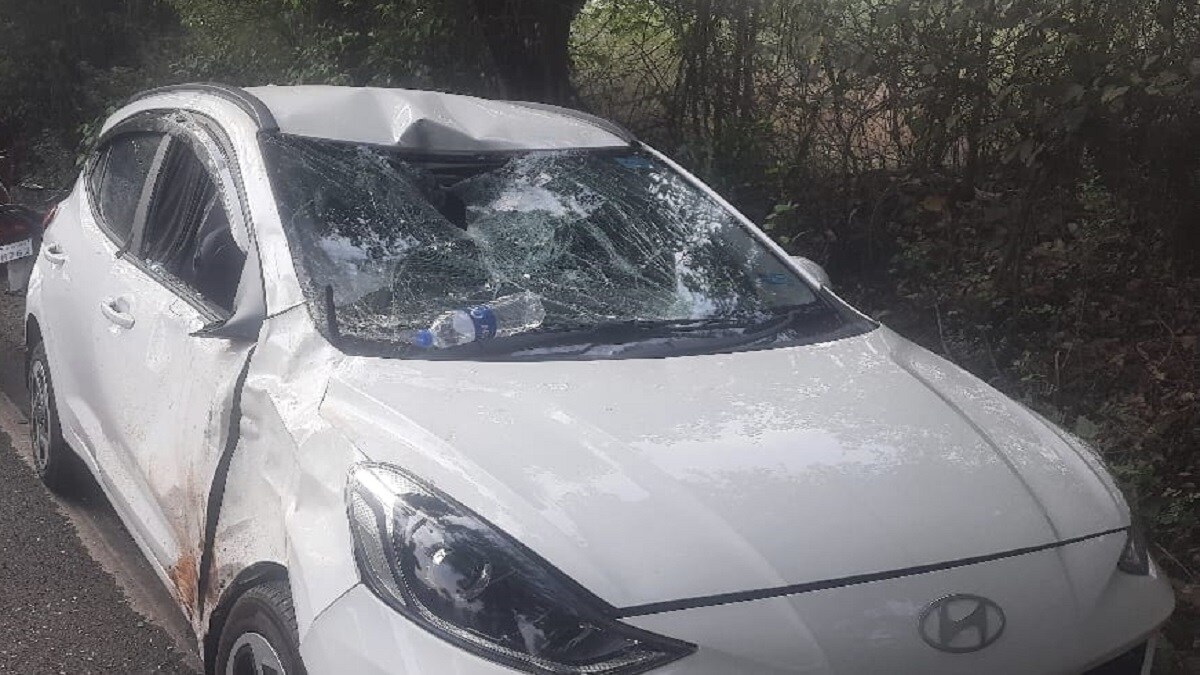 Kolhapur, bison attack, Radhanagari,