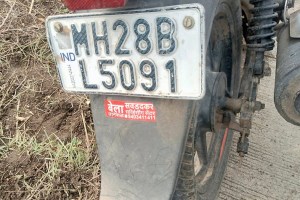 Buldhana, animal hit vehicle,