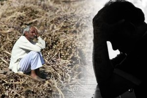 farmers committed suicide in marathwada