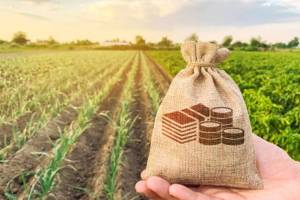 number of agri startups jumps in india