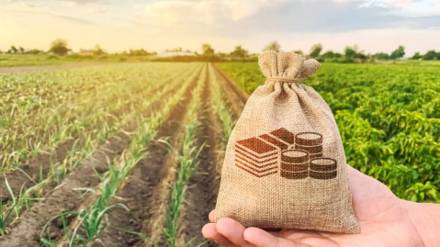 number of agri startups jumps in india