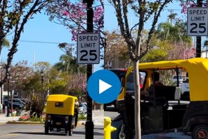auto rikshaw in USA California viral video