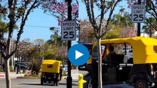 auto rikshaw in USA California viral video