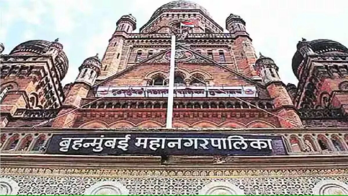 Mumbai Municipal Corporation, Prunes Dangerous Trees, Ahead of Monsoon, 305 Trees Trimmed 109 Remaining, bmc news, mumbai news, marathi news