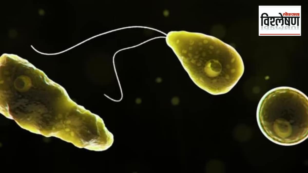 brain eating amoeba Naegleria fowleri girl death in Kerala Primary amebic meningoencephalitis