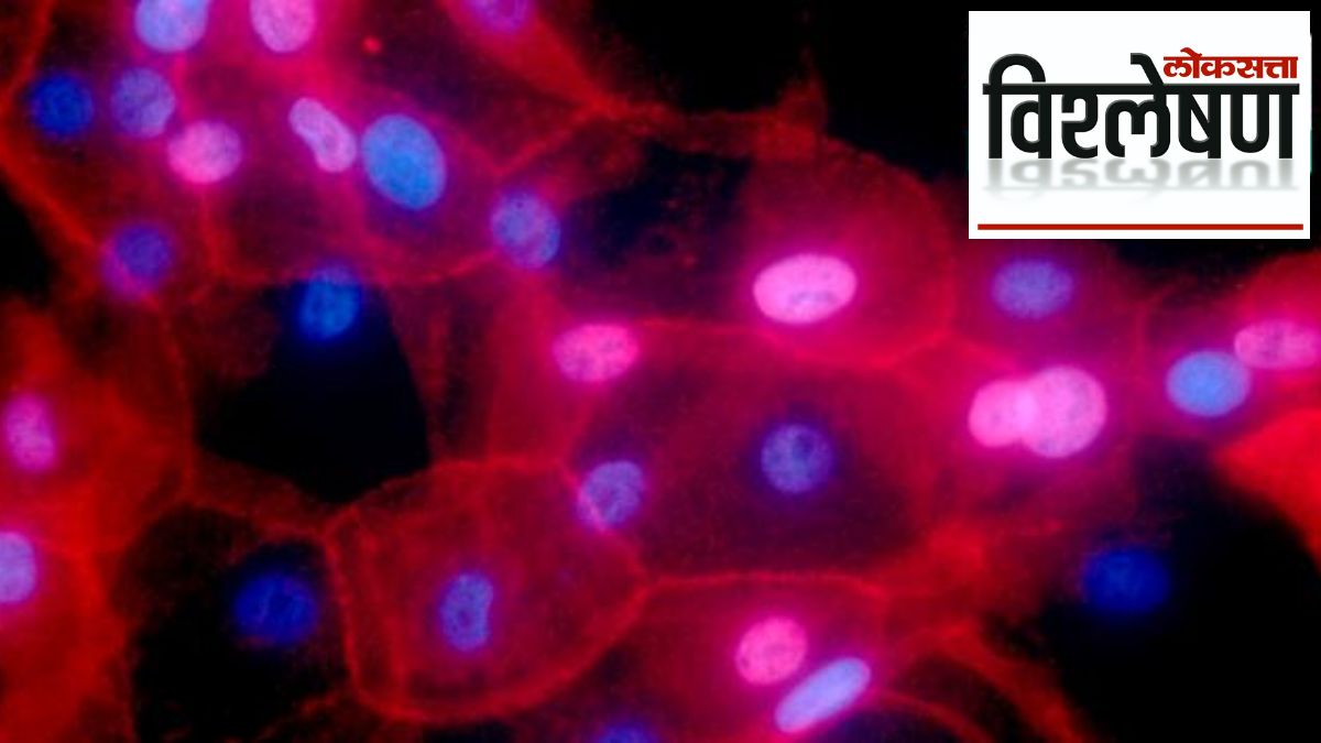 cancer cases rise in india