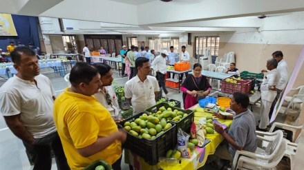 sangli mango festival