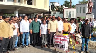 karad municipality marathi news