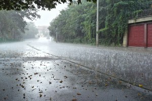 monsoon vidarbha marathi news