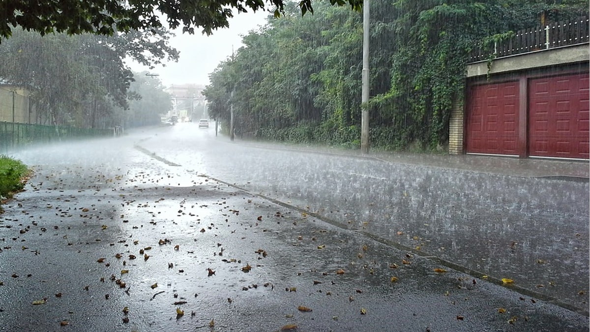 monsoon vidarbha marathi news
