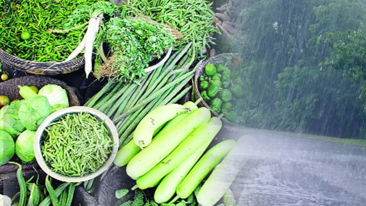 thane vegetable price today marathi news