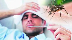four-fold increase in the number of chikungunya patients in the state