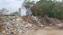 मुंबई : मिठागराच्या जागेवर बांधकामाच्या कचऱ्याचे ढीग