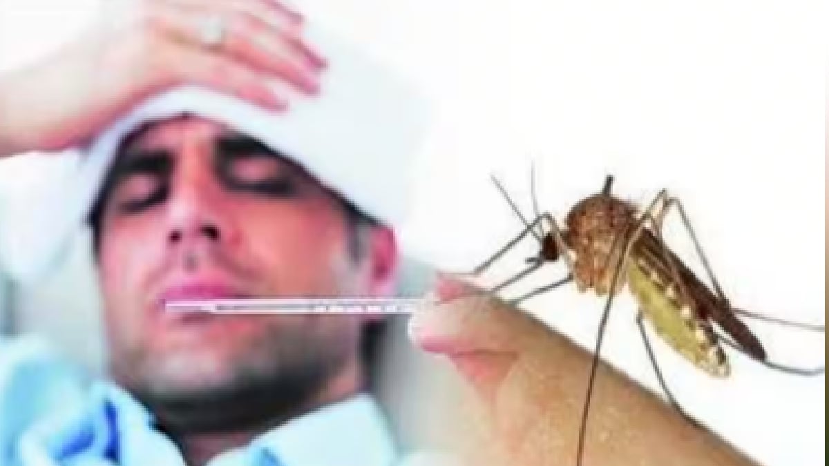 Increase in the number of dengue patients in the state of Maharashtra