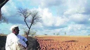 Loksatta editorial Drought situation in Maharashtra Farmer suicide